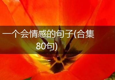一个会情感的句子(合集80句)