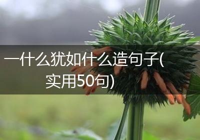 一什么犹如什么造句子(实用50句)
