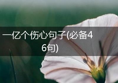 一亿个伤心句子(必备46句)