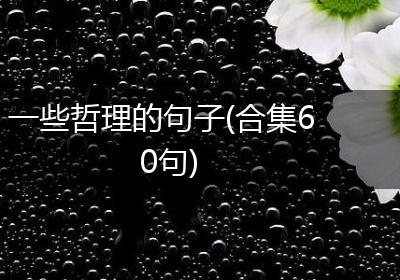 一些哲理的句子(合集60句)