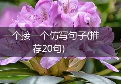一个接一个仿写句子(推荐20句)
