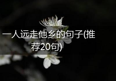 一人远走他乡的句子(推荐20句)