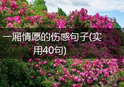 一厢情愿的伤感句子(实用40句)