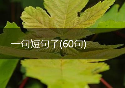 一句短句子(60句)