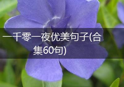 一千零一夜优美句子(合集60句)