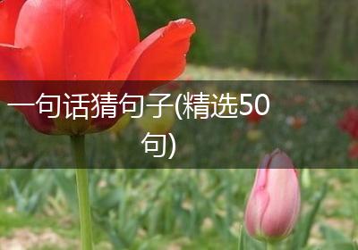 一句话猜句子(精选50句)