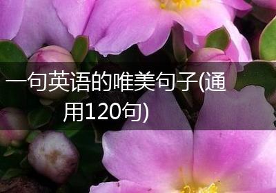 一句英语的唯美句子(通用120句)
