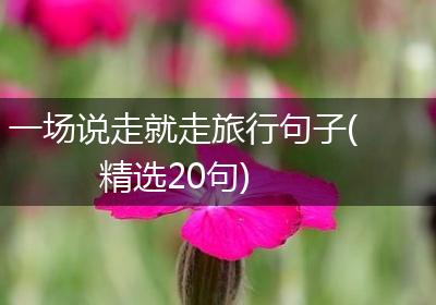 一场说走就走旅行句子(精选20句)