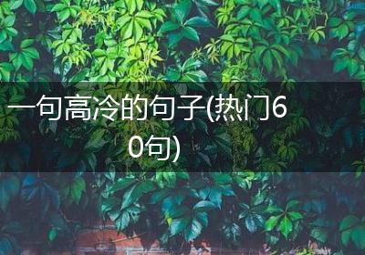 一句高冷的句子(热门60句)