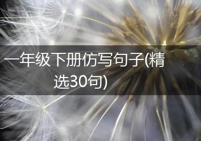 一年级下册仿写句子(精选30句)