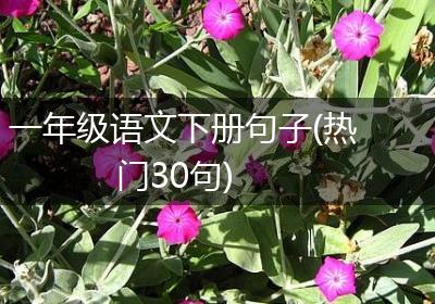 一年级语文下册句子(热门30句)