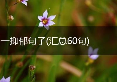 一抑郁句子(汇总60句)