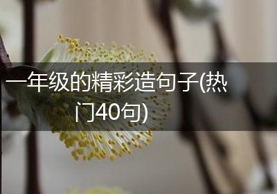 一年级的精彩造句子(热门40句)