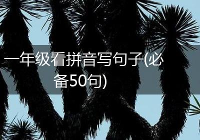 一年级看拼音写句子(必备50句)