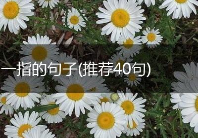 一指的句子(推荐40句)