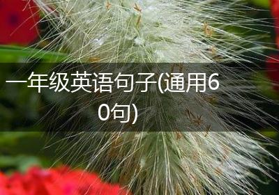一年级英语句子(通用60句)