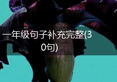 一年级句子补充完整(30句)