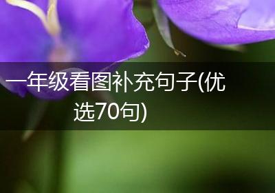 一年级看图补充句子(优选70句)
