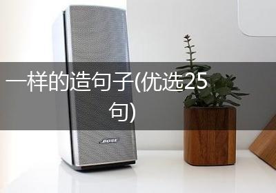 一样的造句子(优选25句)