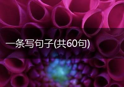 一条写句子(共60句)