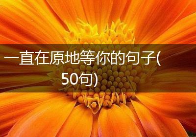 一直在原地等你的句子(50句)