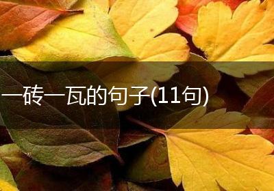一砖一瓦的句子(11句)