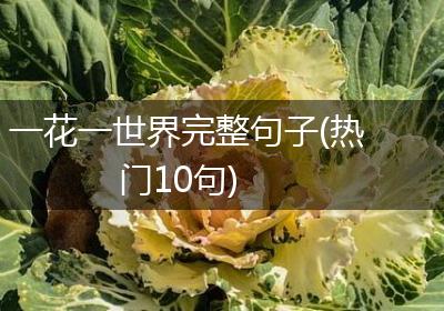 一花一世界完整句子(热门10句)