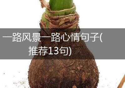 一路风景一路心情句子(推荐13句)