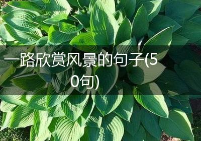 一路欣赏风景的句子(50句)