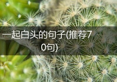 一起白头的句子(推荐70句)