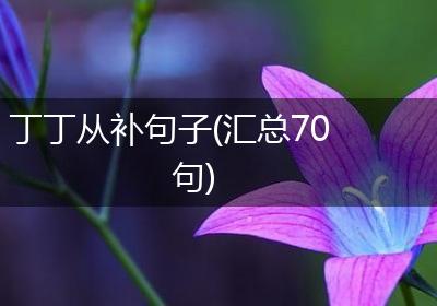 丁丁从补句子(汇总70句)
