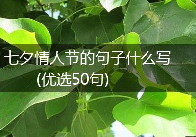 七夕情人节的句子什么写(优选50句)