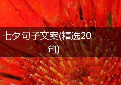 七夕句子文案(精选20句)