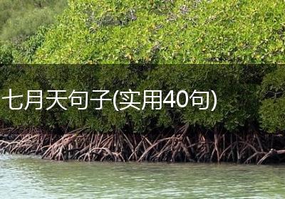 七月天句子(实用40句)