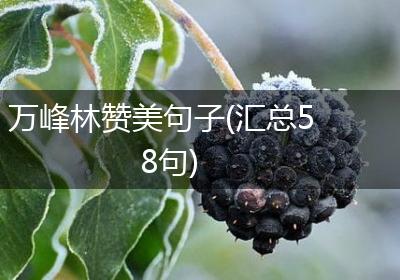 万峰林赞美句子(汇总58句)