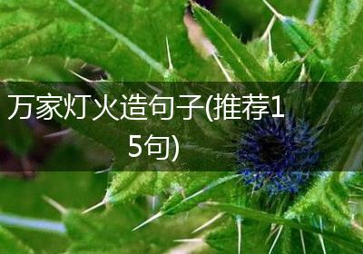 万家灯火造句子(推荐15句)
