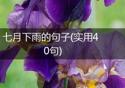七月下雨的句子(实用40句)