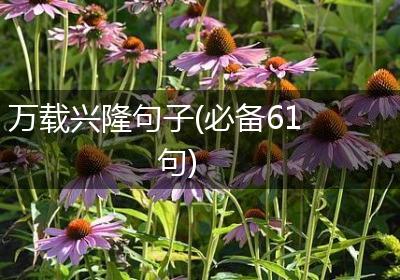 万载兴隆句子(必备61句)