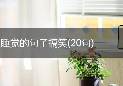 睡觉的句子搞笑(20句)