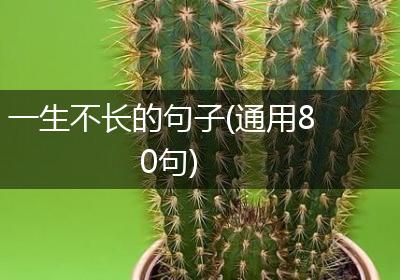 一生不长的句子(通用80句)