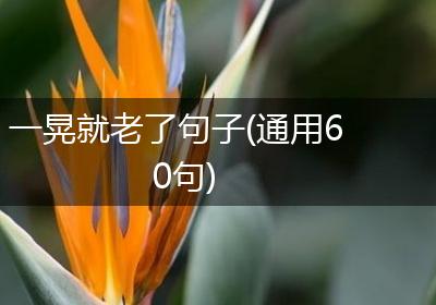 一晃就老了句子(通用60句)