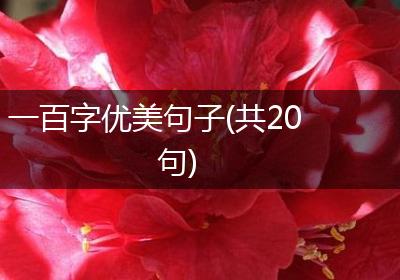 一百字优美句子(共20句)
