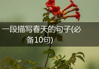 一段描写春天的句子(必备10句)