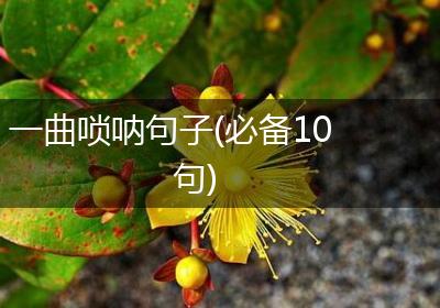 一曲唢呐句子(必备10句)