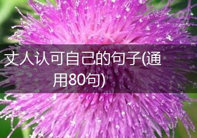 丈人认可自己的句子(通用80句)