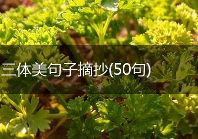 三体美句子摘抄(50句)