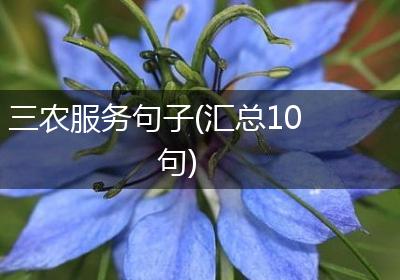三农服务句子(汇总10句)