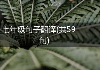 七年级句子翻译(共59句)