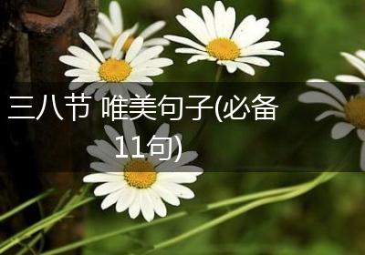三八节 唯美句子(必备11句)