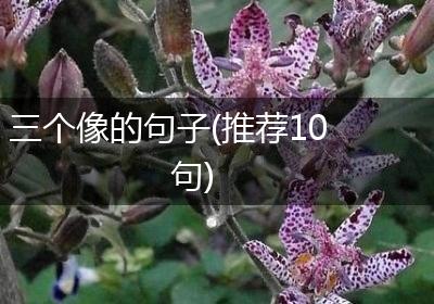 三个像的句子(推荐10句)